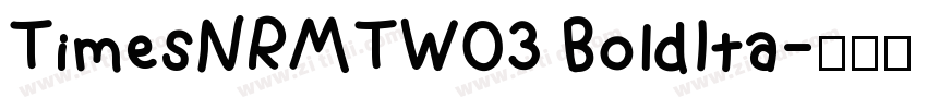 TimesNRMTW03 BoldIta字体转换